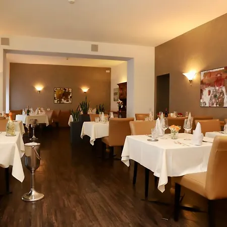 阿兰西奥酒店 3* 阿斯科纳