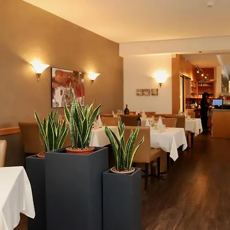 Arancio 3* Ascona